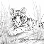 Clouded Leopard Habitat: Jungle Scene Coloring Pages 3
