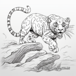 Clouded Leopard in Action: Prowling & Climbing Scenes 1