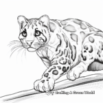 Clouded Leopard in Action: Prowling & Climbing Scenes 4