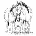 Clydesdale Family Coloring Pages: Male, Female, and Foals 1