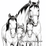 Clydesdale Family Coloring Pages: Male, Female, and Foals 3