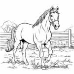 Clydesdale Horse in Nature Coloring Pages 2