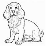 Cocker Spaniel with Big Ears Coloring Pages 1