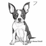 Color By Number Boston Terrier Coloring Pages 4