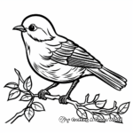 Colorful Bird Zoo Coloring Pages 2