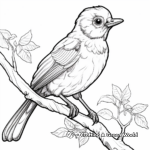 Colorful Bird Zoo Coloring Pages 3
