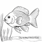 Colorful Bluegill Fish Coloring Pages 4