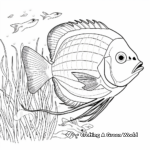 Colorful Coral Reef & Angelfish Coloring Pages 3