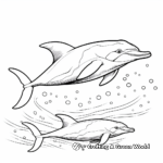 Colorful Dolphins Jumping High Coloring Pages 2
