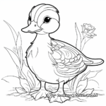 Colorful Duck Species Coloring Pages 3