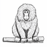 Colorful Gelada Baboon Coloring Pages 1