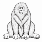 Colorful Gelada Baboon Coloring Pages 2