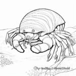 Colorful Hermit Crab Coloring Pages 2