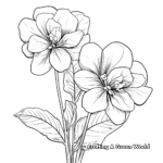 Colorful Hydrangea Flower Coloring Sheets 3