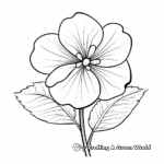 Colorful Hydrangea Flower Coloring Sheets 4