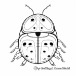 Colorful Ladybug Beetle Coloring Sheets 3