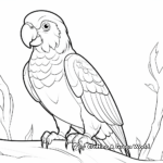 Colorful Parrot Zoo Coloring Sheets 2