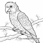Colorful Parrot Zoo Coloring Sheets 3