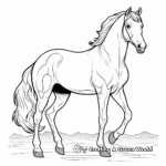Coloring Pages of Arabian Horse Breeds 3