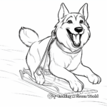 Coloring Pages with Malamute Sled Dogs 2