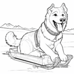 Coloring Pages with Malamute Sled Dogs 4