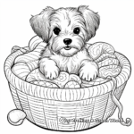 Comforted Yorkie in a Basket Coloring Pages 4
