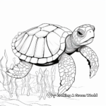 Convivial Turtle Party Coloring Pages 4