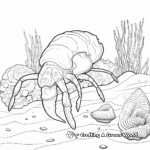 Coral Reef Hermit Crab Coloring Pages 1