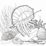 Coral Reef Hermit Crab Coloring Pages 2