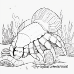 Coral Reef Hermit Crab Coloring Pages 3