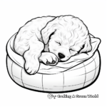 Curled-Up Sleeping Maltipoo Coloring Pages 1