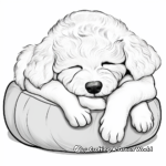 Curled-Up Sleeping Maltipoo Coloring Pages 2