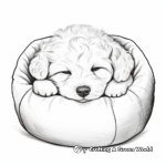 Curled-Up Sleeping Maltipoo Coloring Pages 3