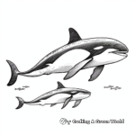 Cute “Mother and Calf” Killer Whale Coloring Pages 4