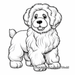 Cute and Fluffy Poodle Coloring Pages 1