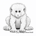 Cute Baby Baboon Coloring Pages 3