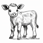 Cute Baby Calf Coloring Pages 4