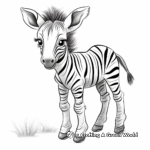 Cute Baby Zebra Coloring Pages for Kids 2