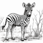 Cute Baby Zebra Coloring Pages for Kids 4