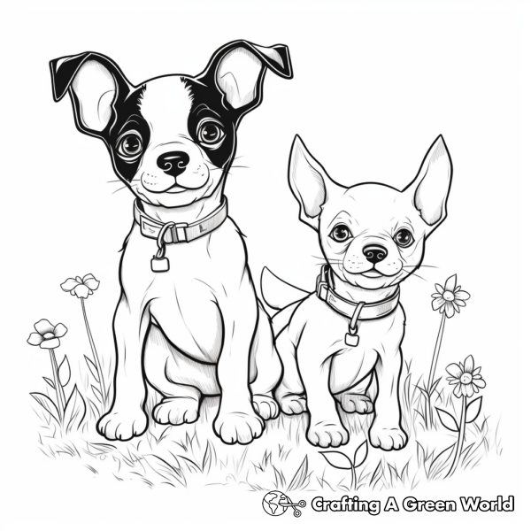 Boston Terrier Coloring Pages - Free &amp; Printable!