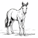 Cute Cartoon Foal Coloring Pages for Kids 2
