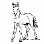 Cute Cartoon Foal Coloring Pages for Kids 3