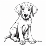 Cute Great Dane Puppy Coloring Pages for Kids 4