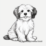 Cute Havanese Puppy Coloring Pages 1