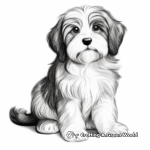 Cute Havanese Puppy Coloring Pages 3