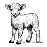 Cute Newborn Lamb Coloring Pages 3