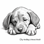 Cute Sleeping Chocolate Lab Puppy Coloring Pages 1