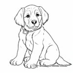 Cute St Bernard Puppy Coloring Pages 1