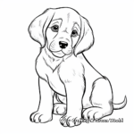 Cute St Bernard Puppy Coloring Pages 2