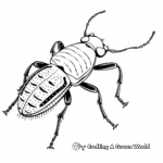 Cute Tiger Beetle Coloring Pages for Kids 1